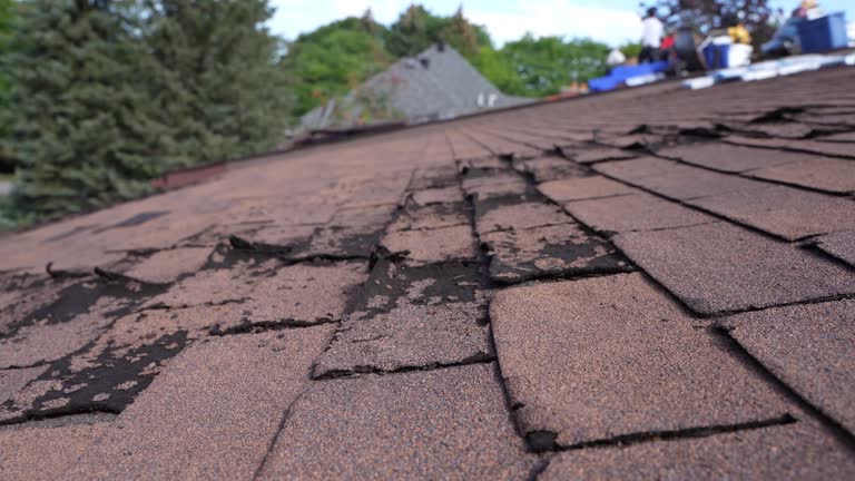 Best Solar Panel Roofing Installation  in Chicago Ridge, IL