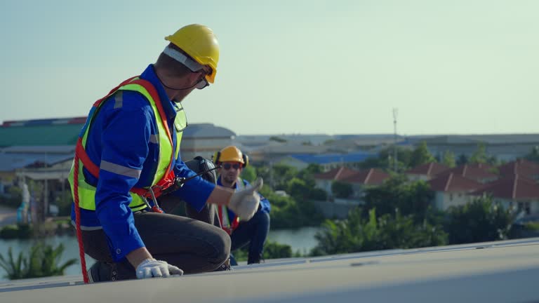 Best Skylight Installation and Repair  in Chicago Ridge, IL