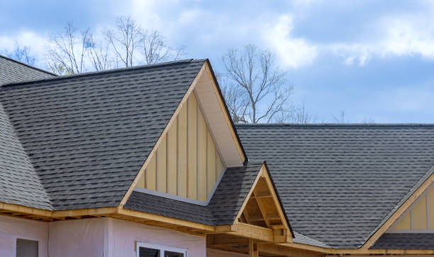Best Roof Insulation Installation  in Chicago Ridge, IL